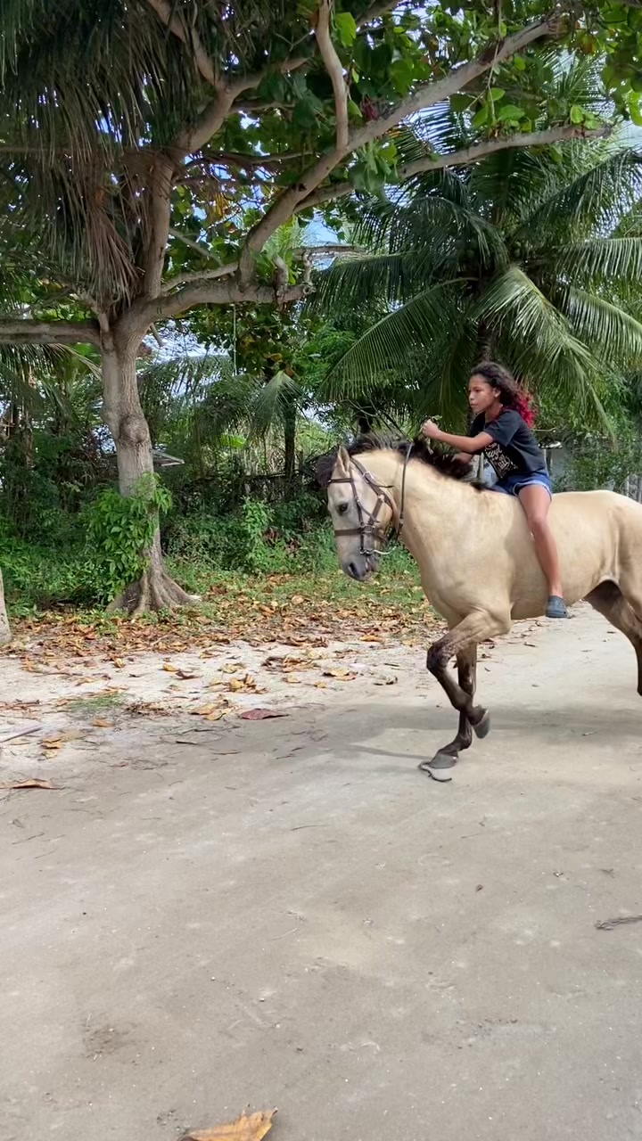 @Pᥱ́r᥆ᥣᥲ ᥱ ᥴᥲριtᥲ̃᥆