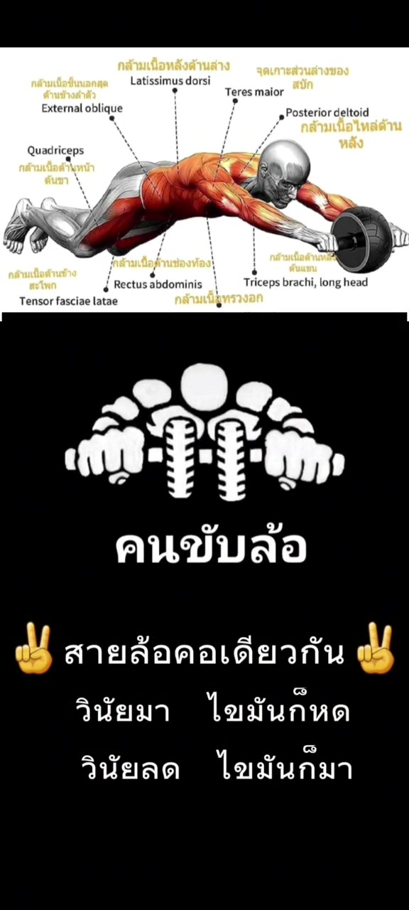 @🇹🇭ิ คนขับล้อ 🇹🇭