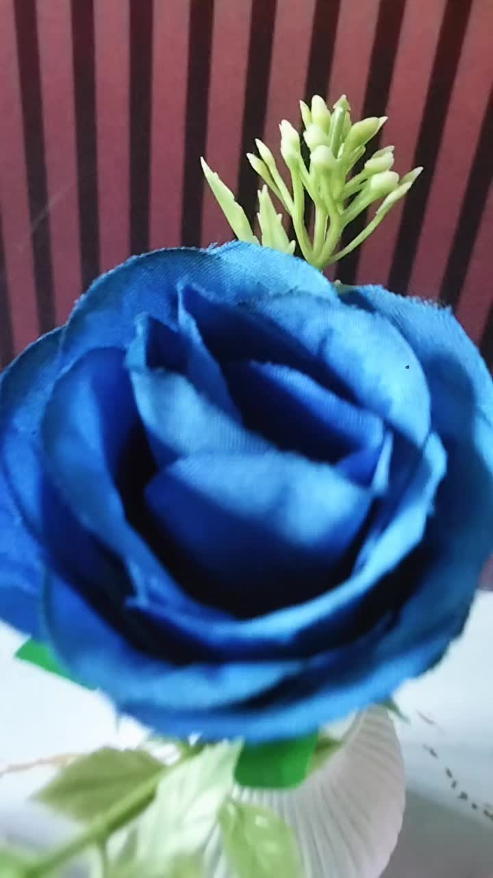 @Madonna25❤️