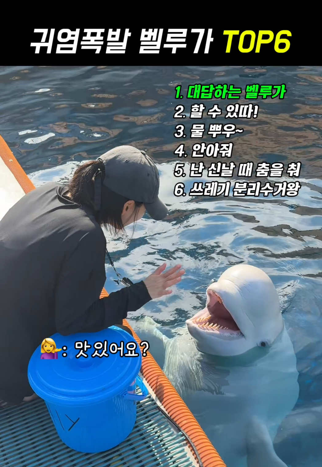 @DolphinTok