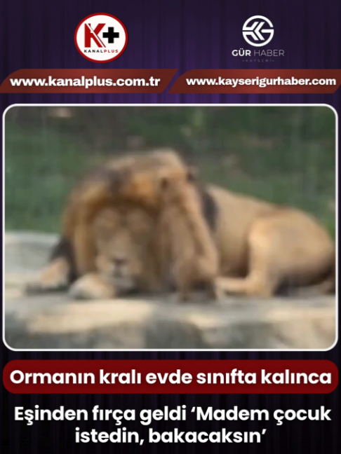 @GÜR HABER | Kayseri