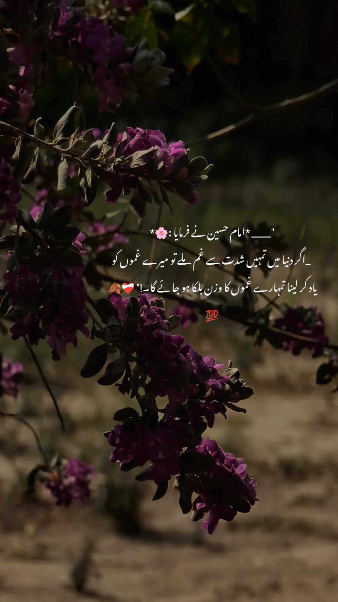 @ــــہہـ٨ــ&hearts;️ـــہہـ٨ـ