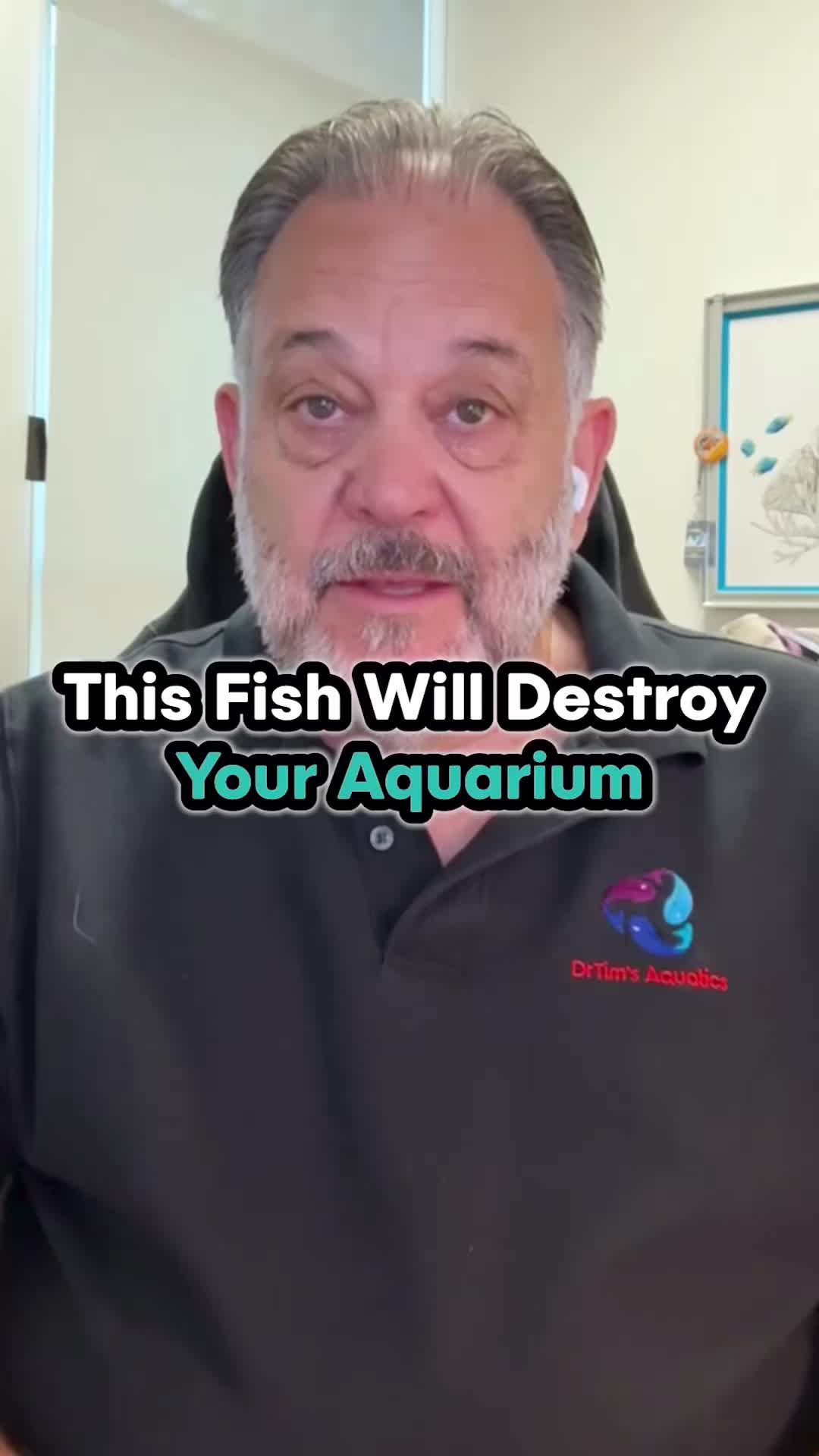 @DrTim
