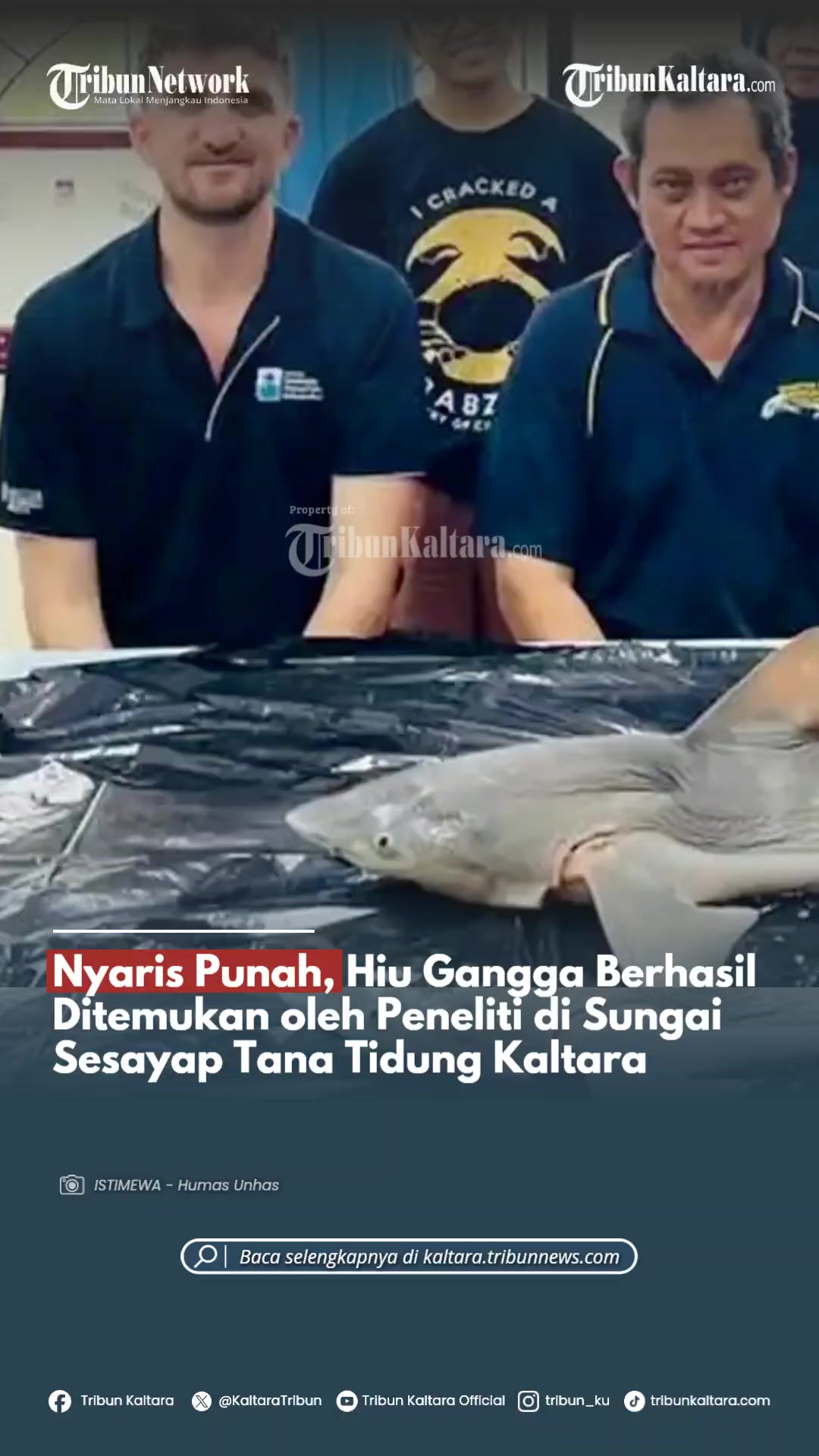 @Official Tribun Kaltara