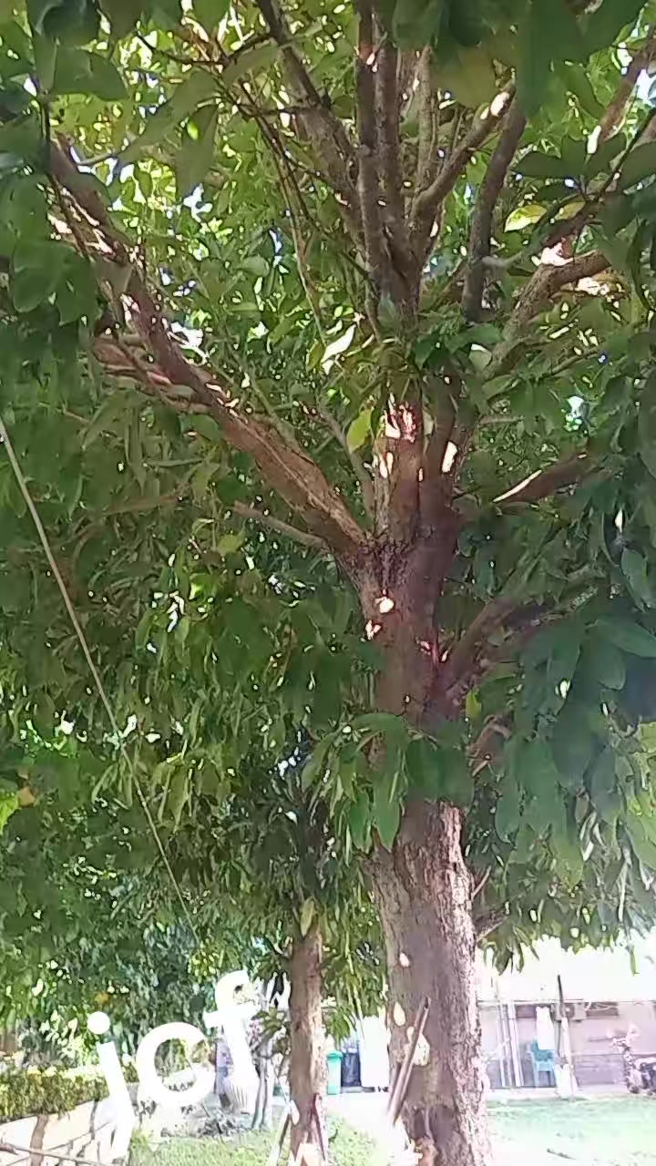 @Jo&atilde;o carllos