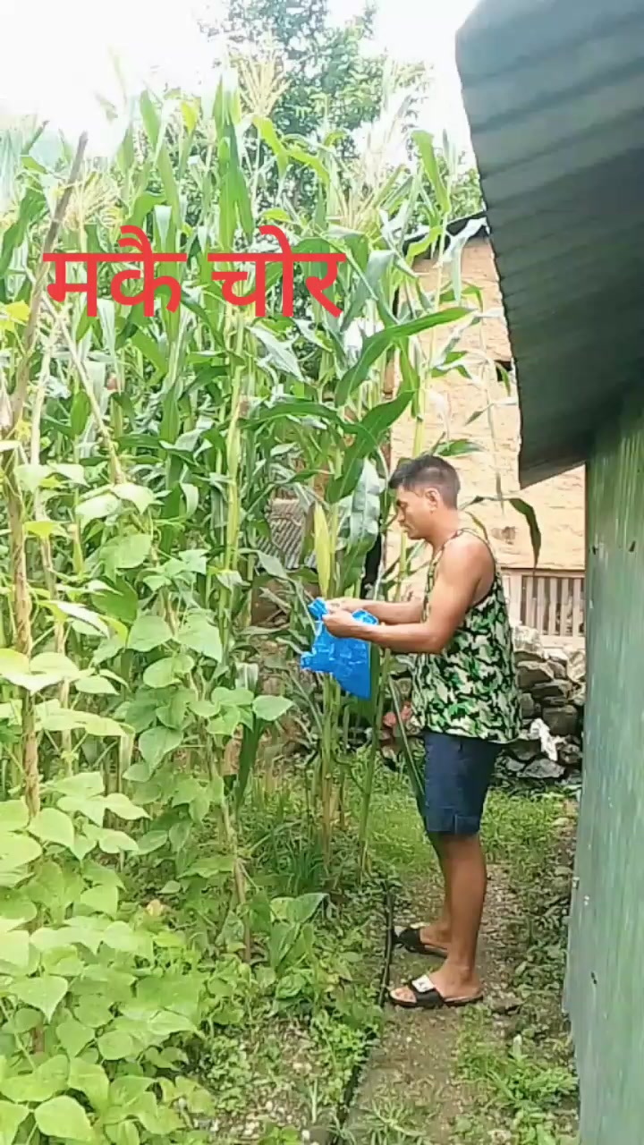 @D.B pun magar1