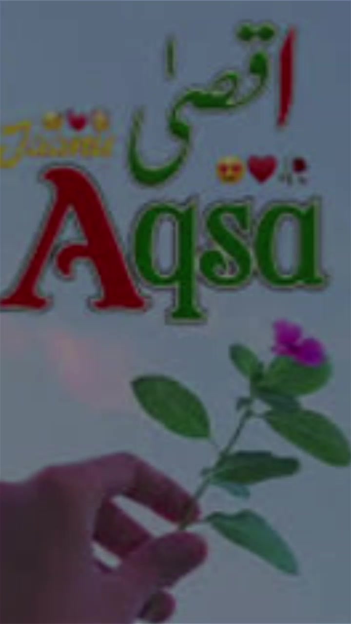 @Raja Ibraheem