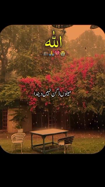 @kamran
