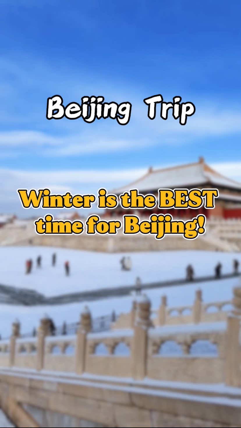 @金马国旅