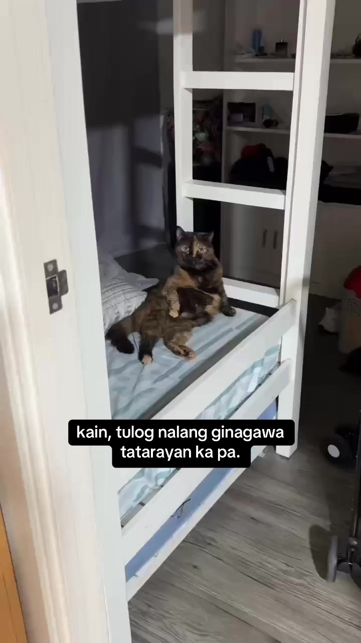 @Doc Gab | Veterinarian ๐พ๐ฉบ