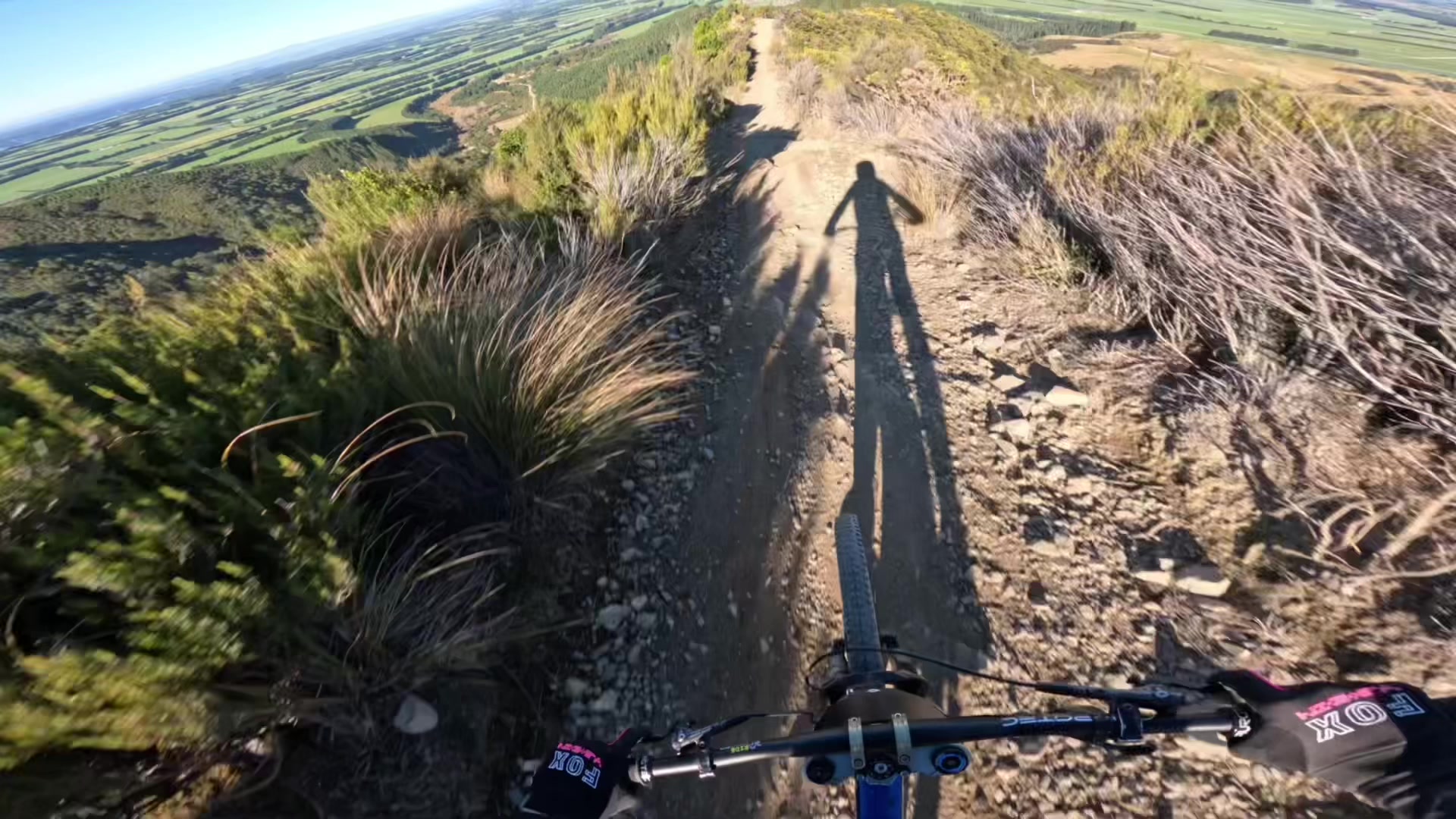 @William🚳