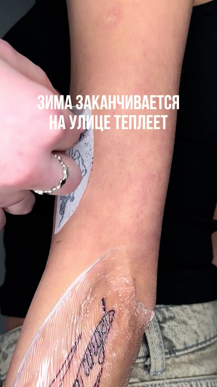 @nezepfi.ink