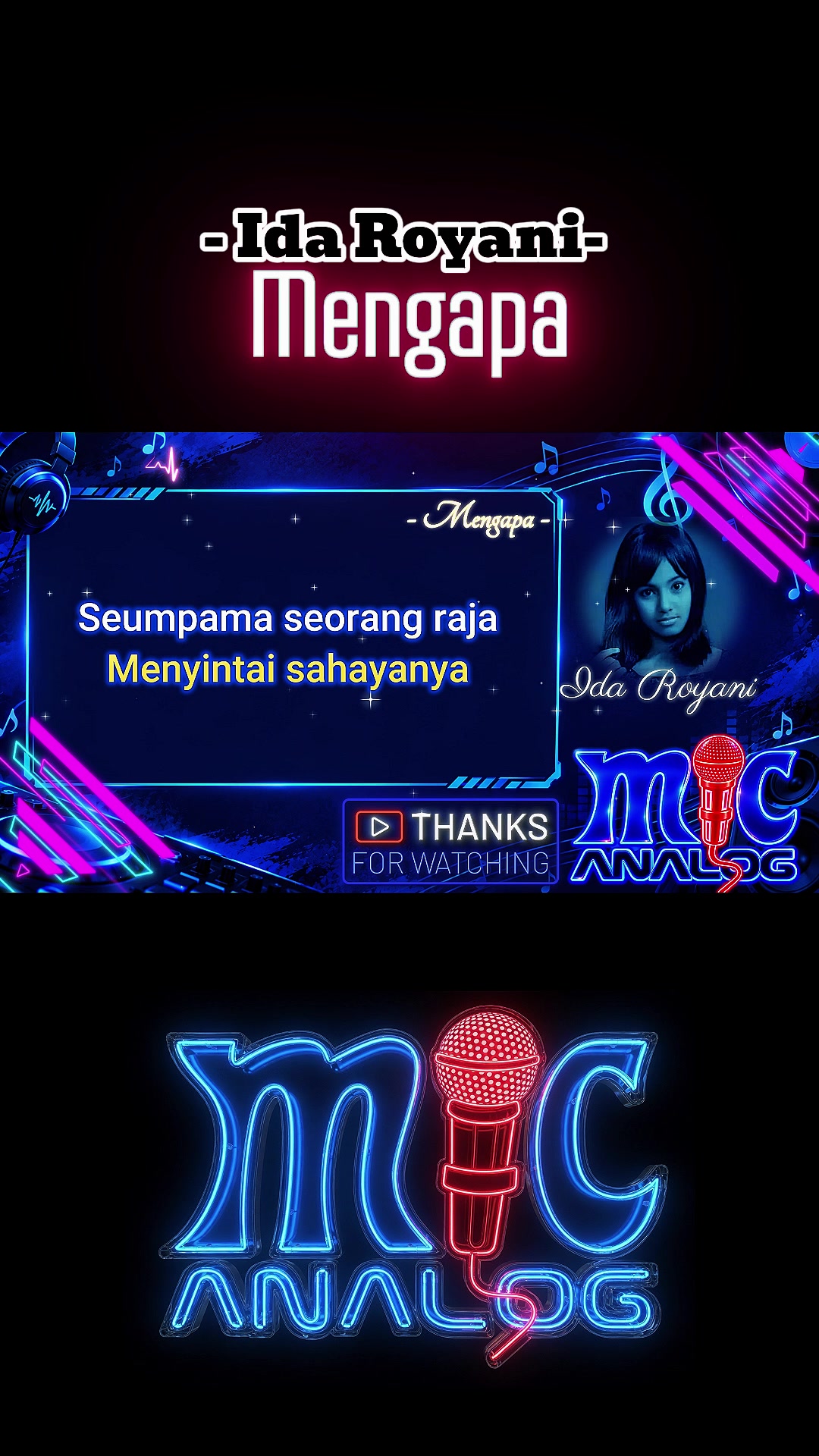 @mic analog