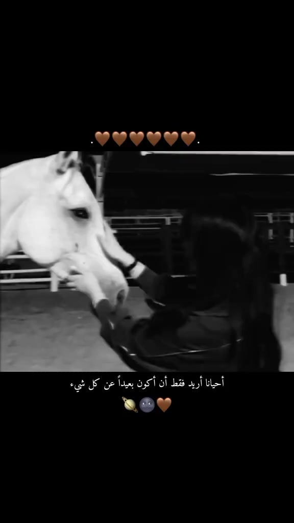 @505ساري 😎