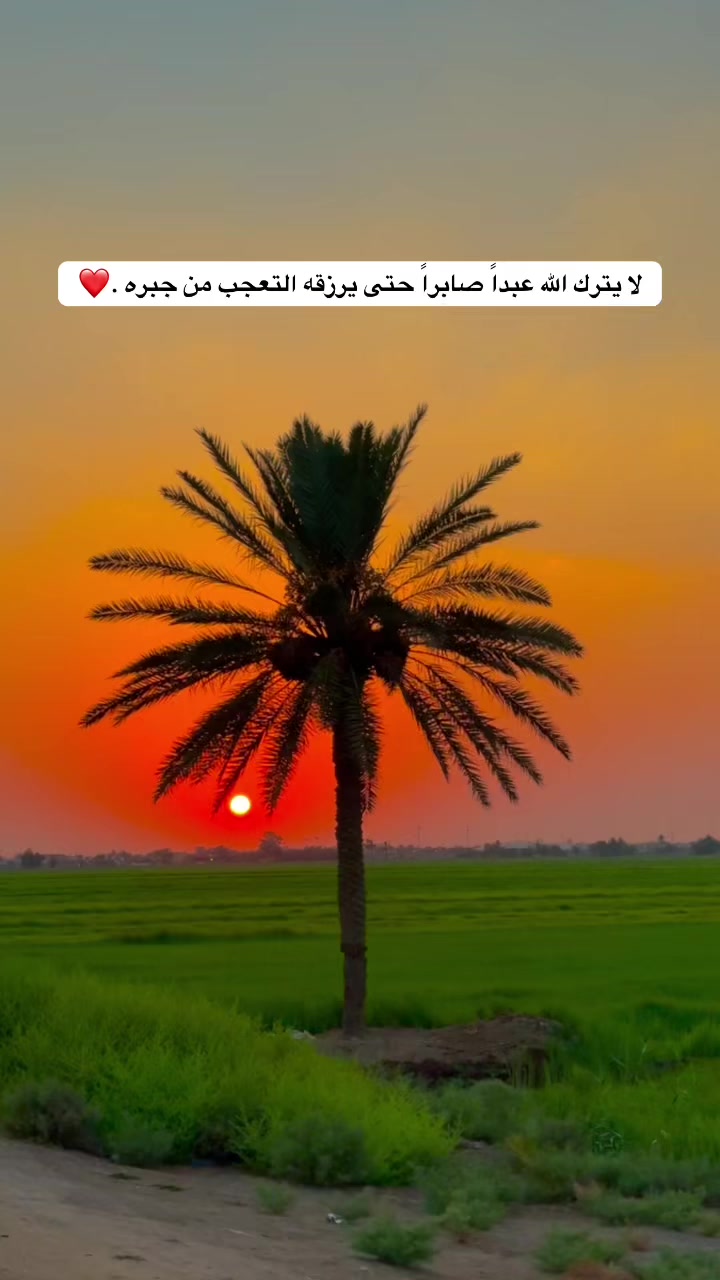 @علاوي