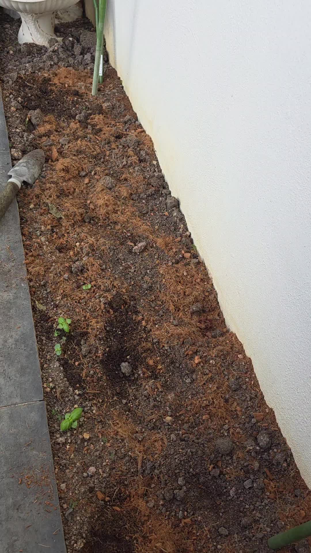 @TRIOgardening