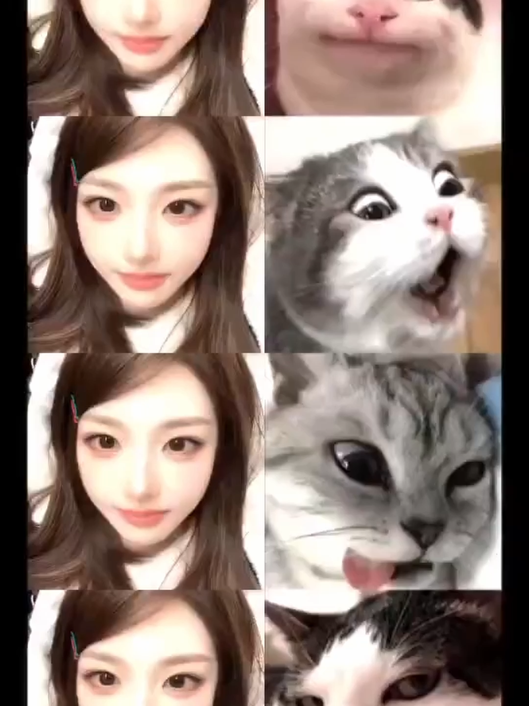 @ʕ•ᴥ•ʔ HAI²ZUL ʕ•ᴥ•ʔ