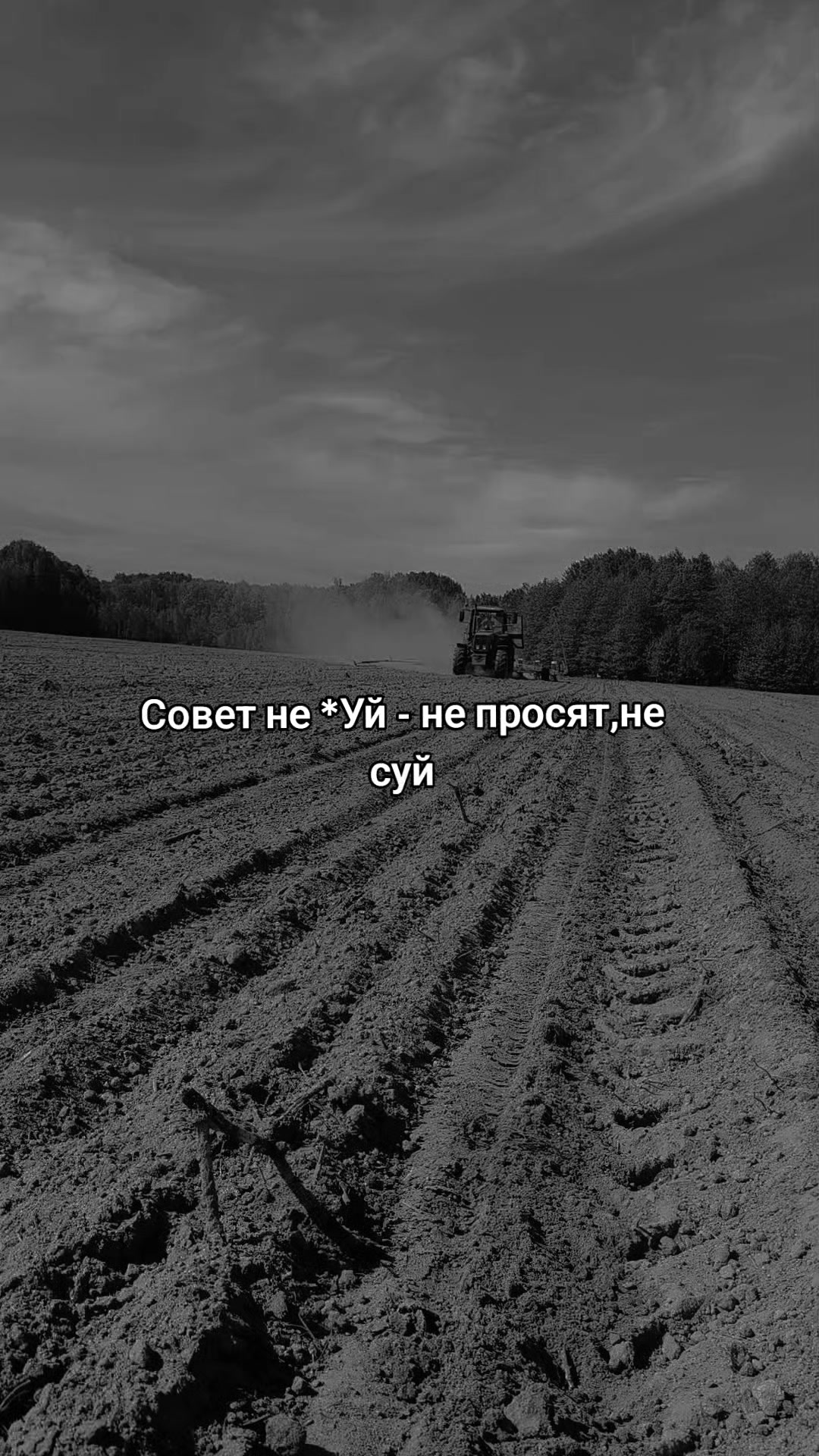 @🚜ⲇяⲇьⲕᥲ ᥲⲏⲧ𐔖ⲏ🚜