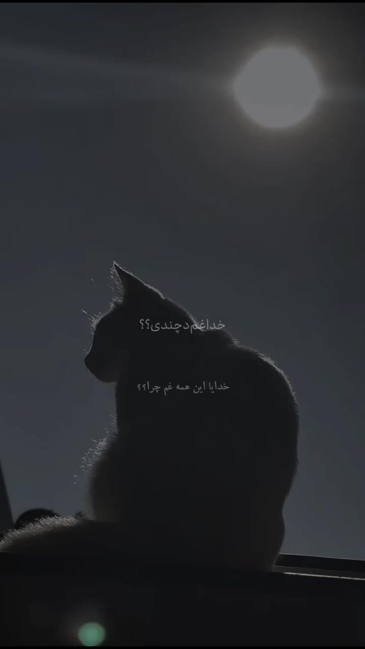 @clip_story
