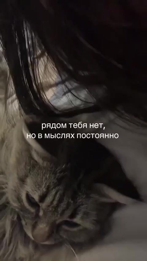 @angliksss
