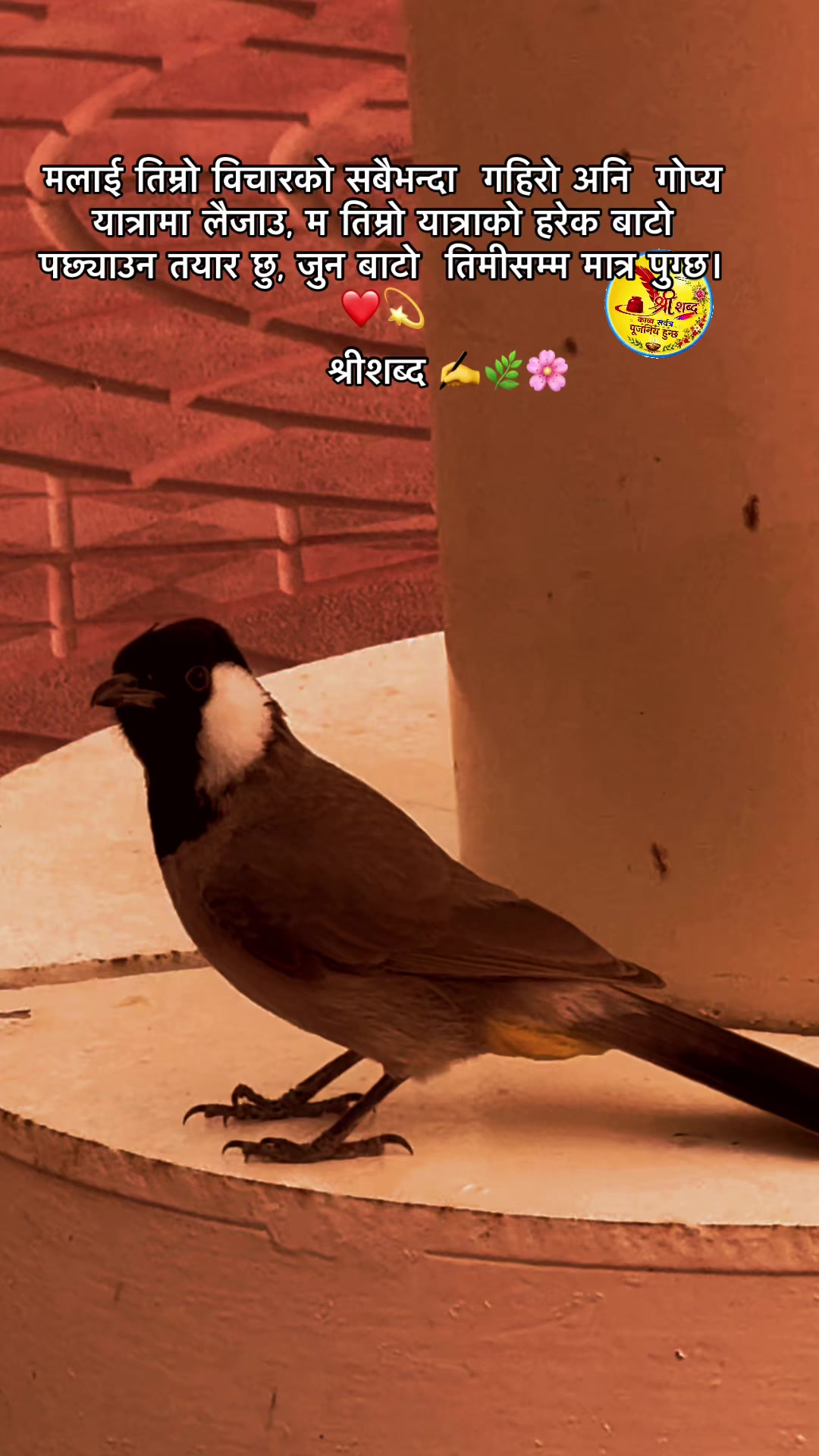 @🌿श्रीशब्द&hellip;.✍️🕊️🍁🍂