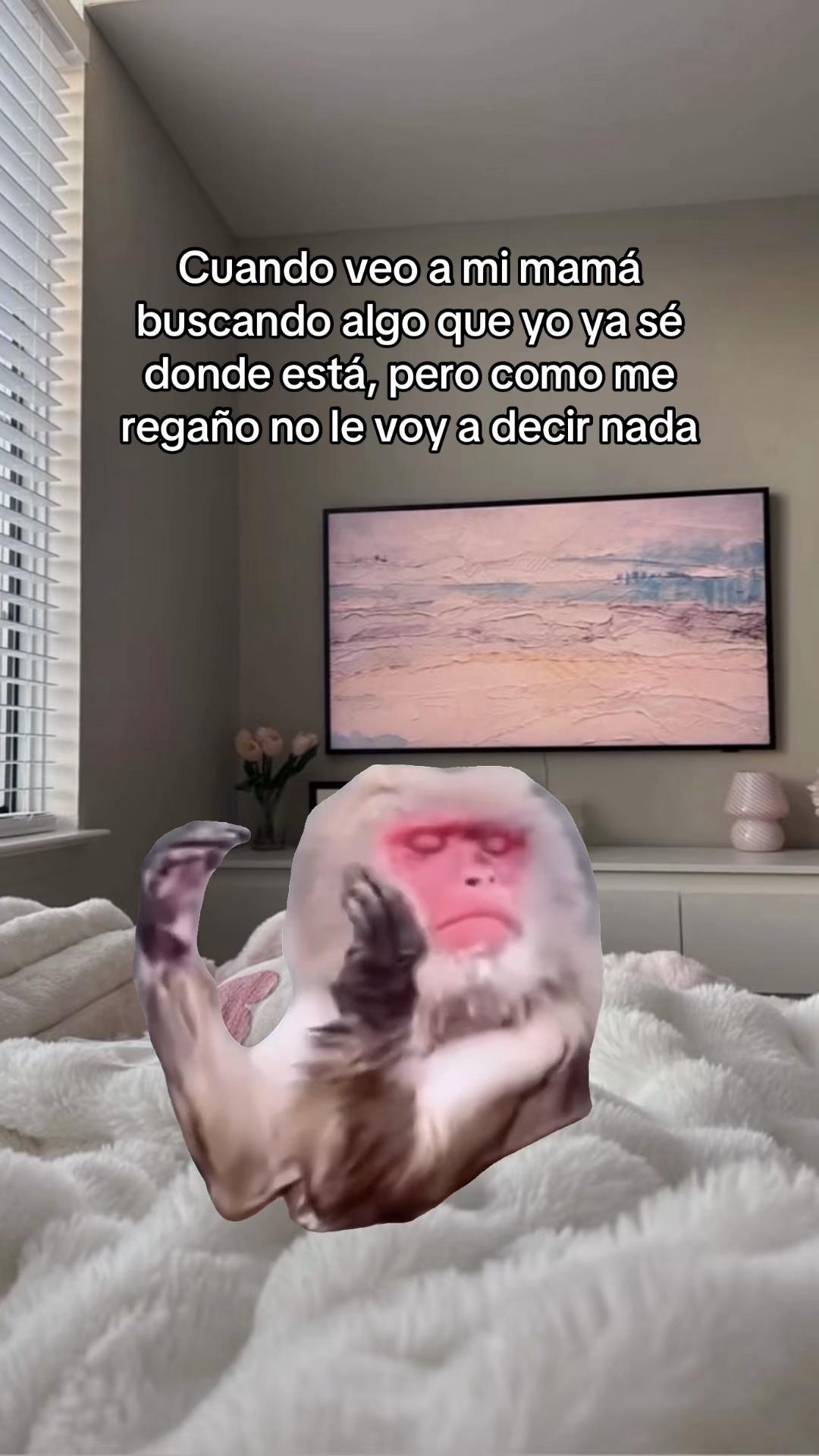 @El Woody 🤠