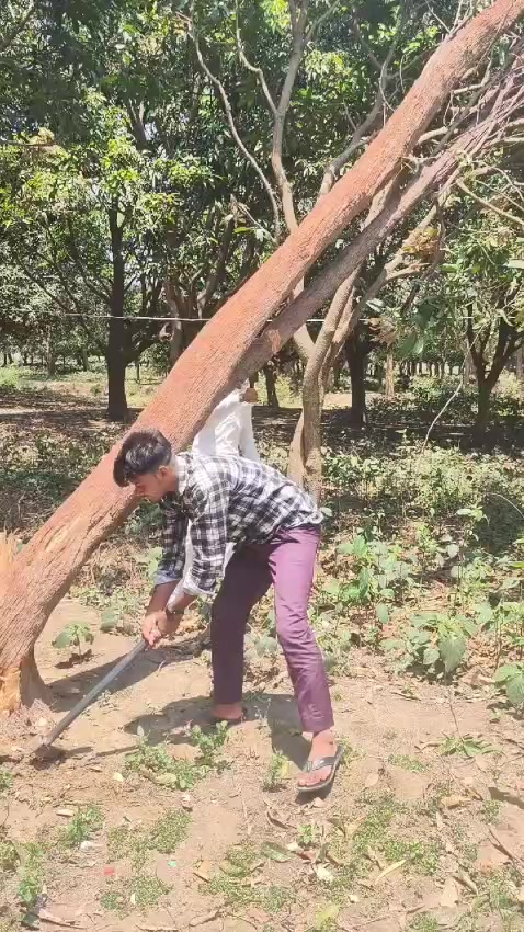 @Bhai jaan ✌️✌️✌️