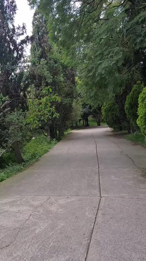 @María Chavana