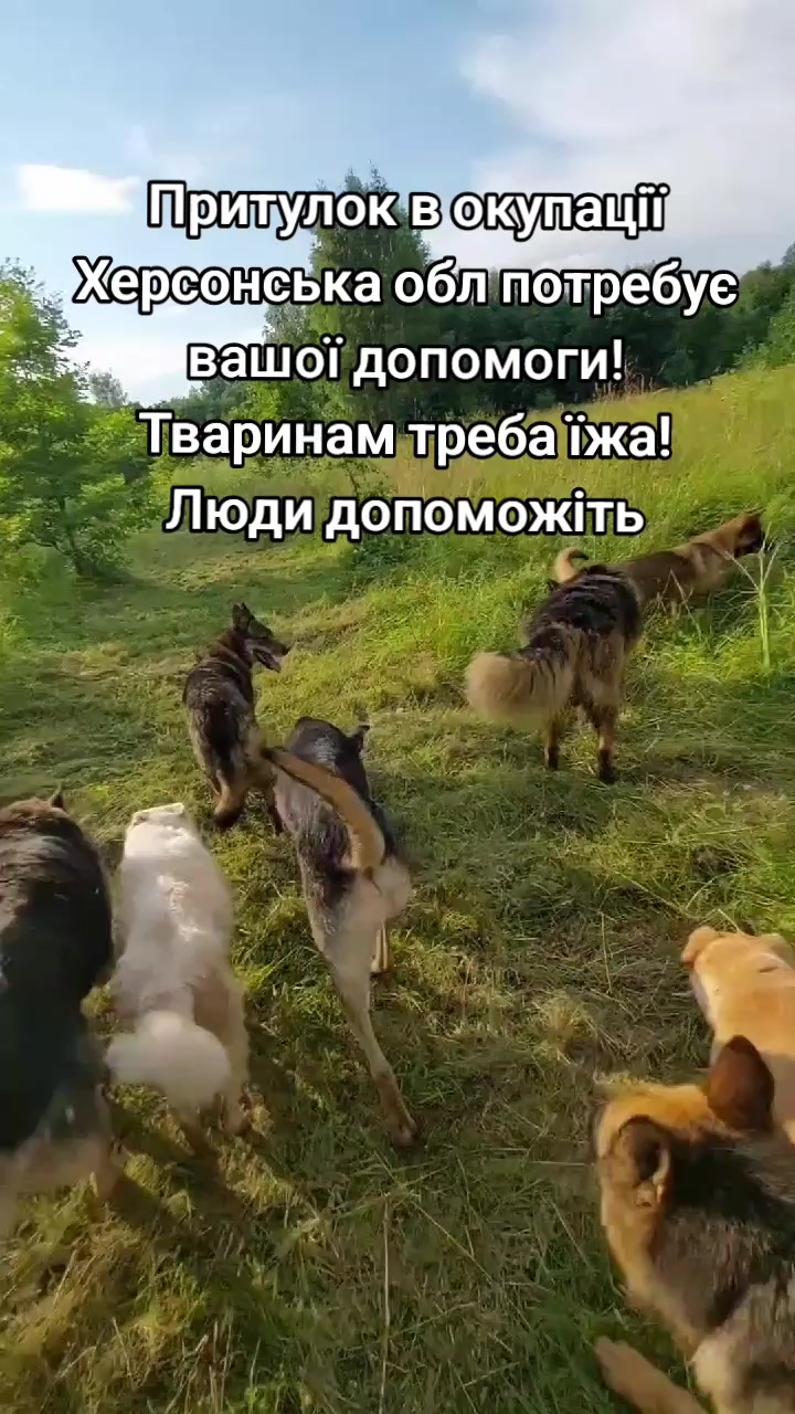 @tvarinkidobra