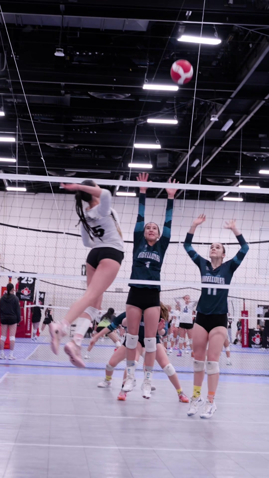 @Volleyball Canada