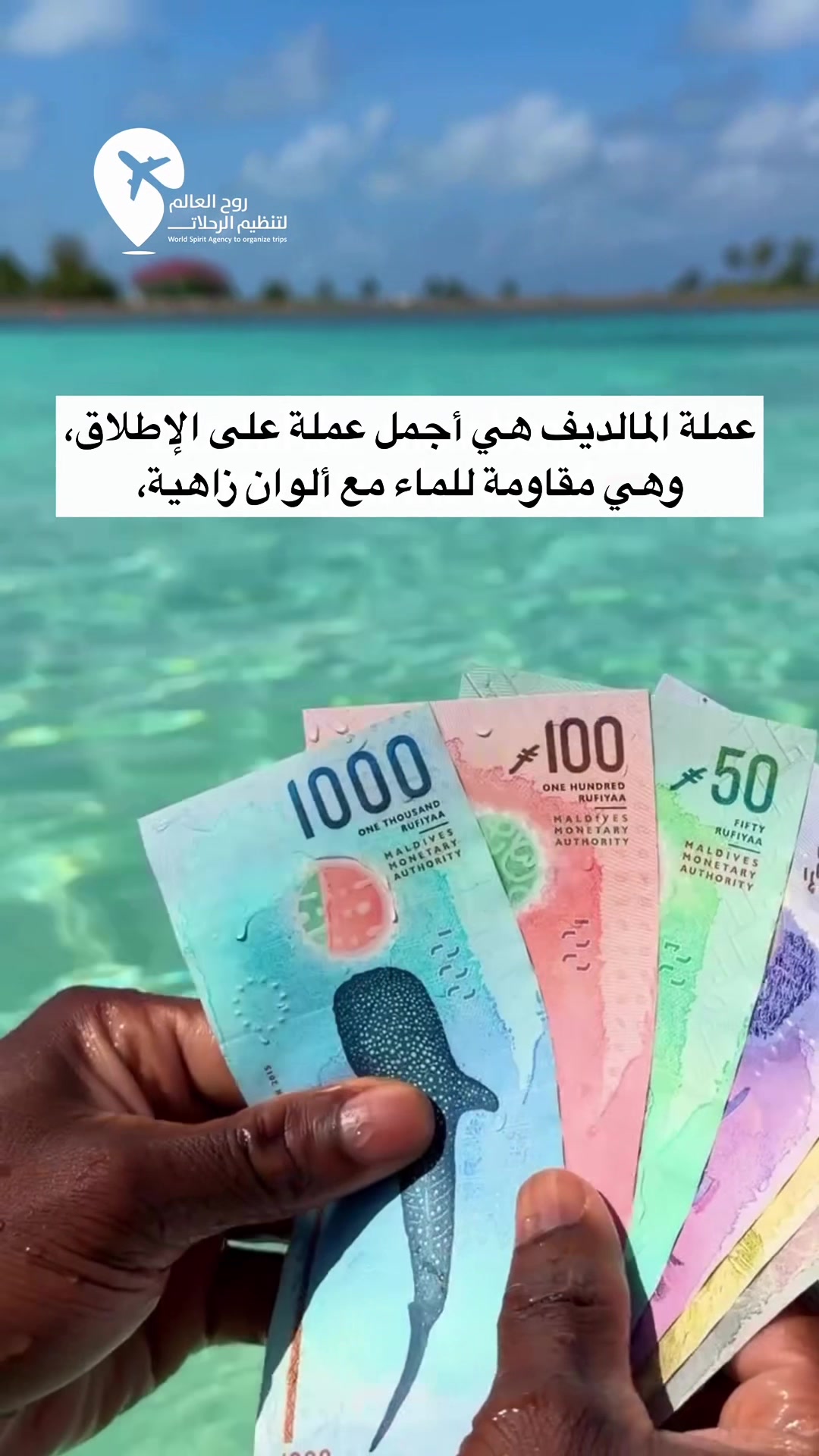 @روح العالم 🇸🇦🇷🇺