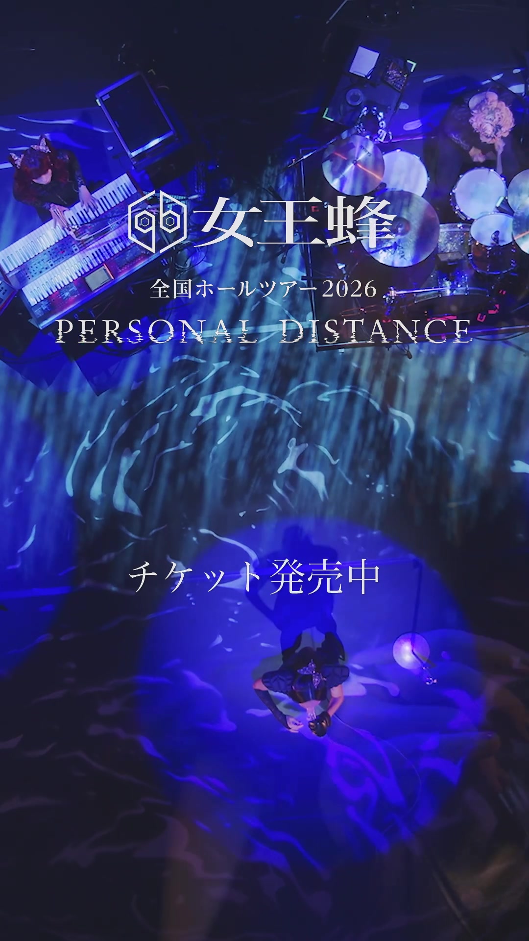 @女王蜂