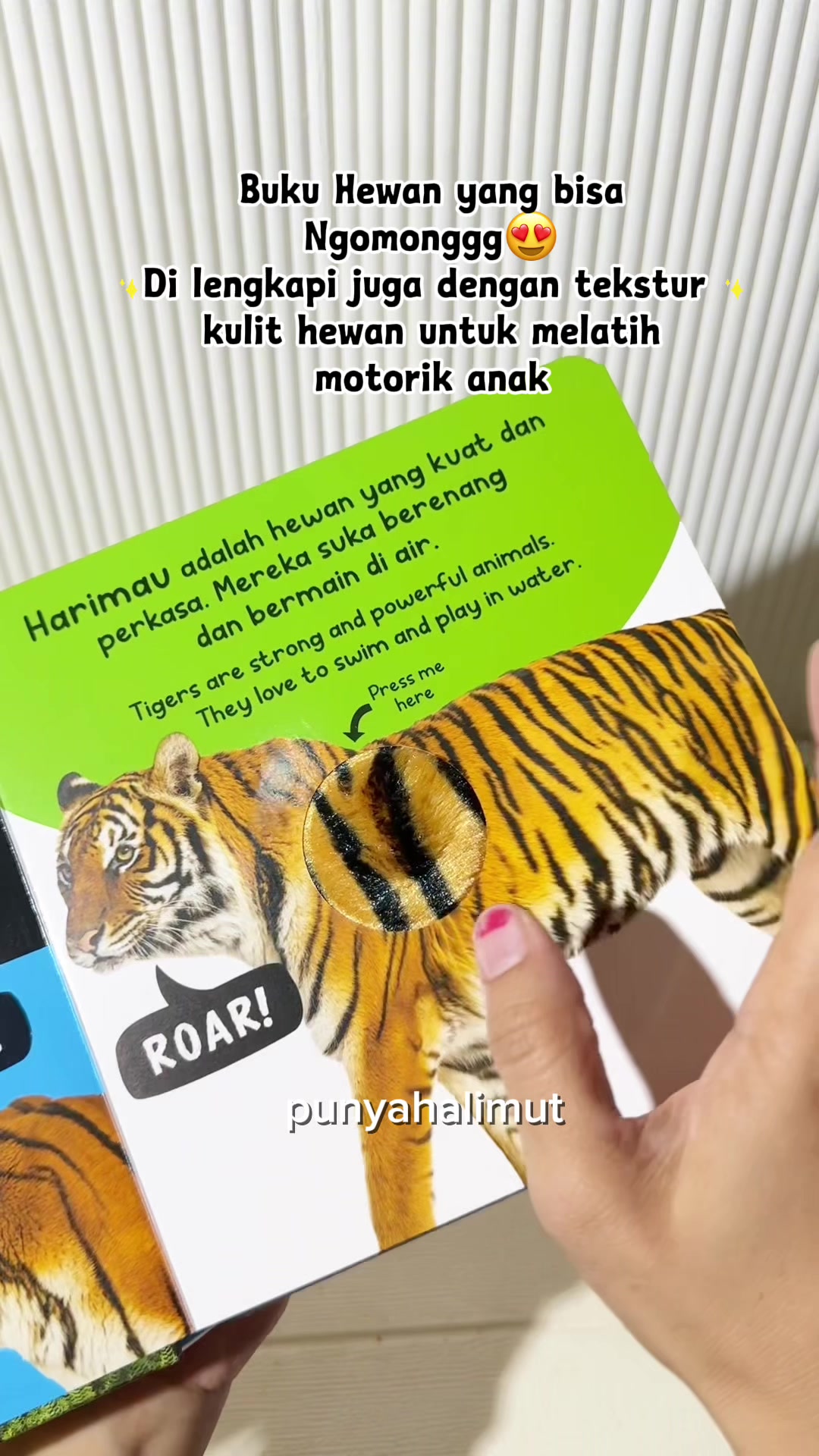 @Halimut