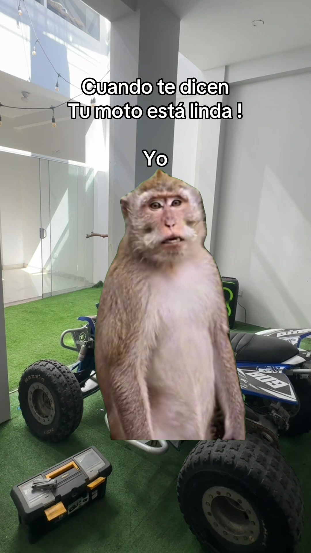 @diego_surco