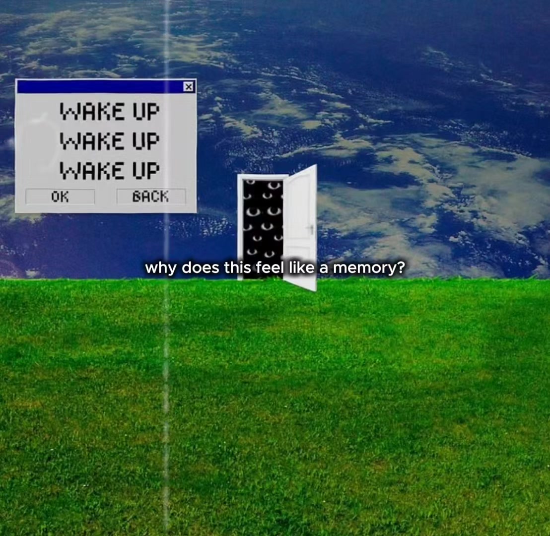 @dreamlifeclub
