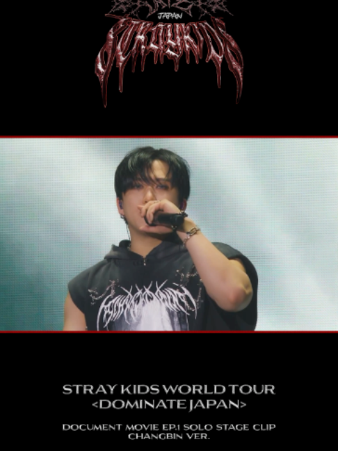 @straykids_japan