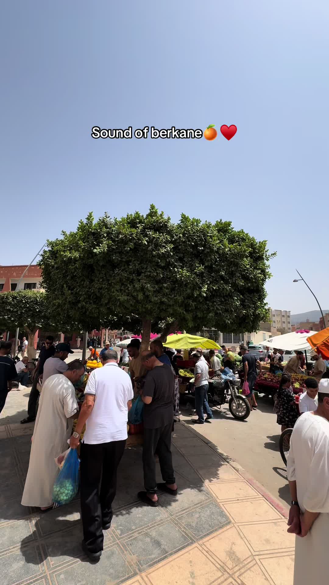 @ⵎⵔⵡⴰⵏ ⵄⴱⴱⴰⵙⵉ_ⵣ🍊