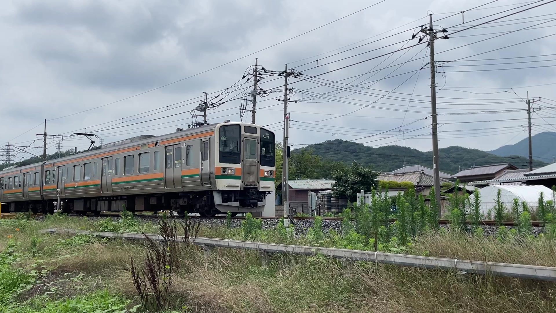 @はむた