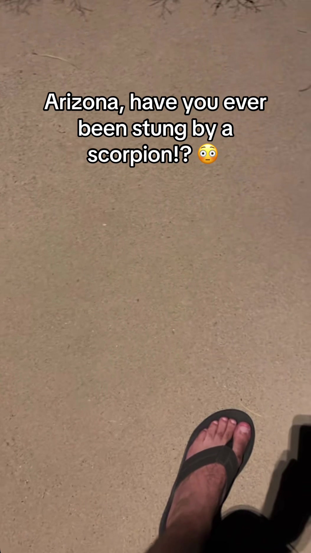 @jo480