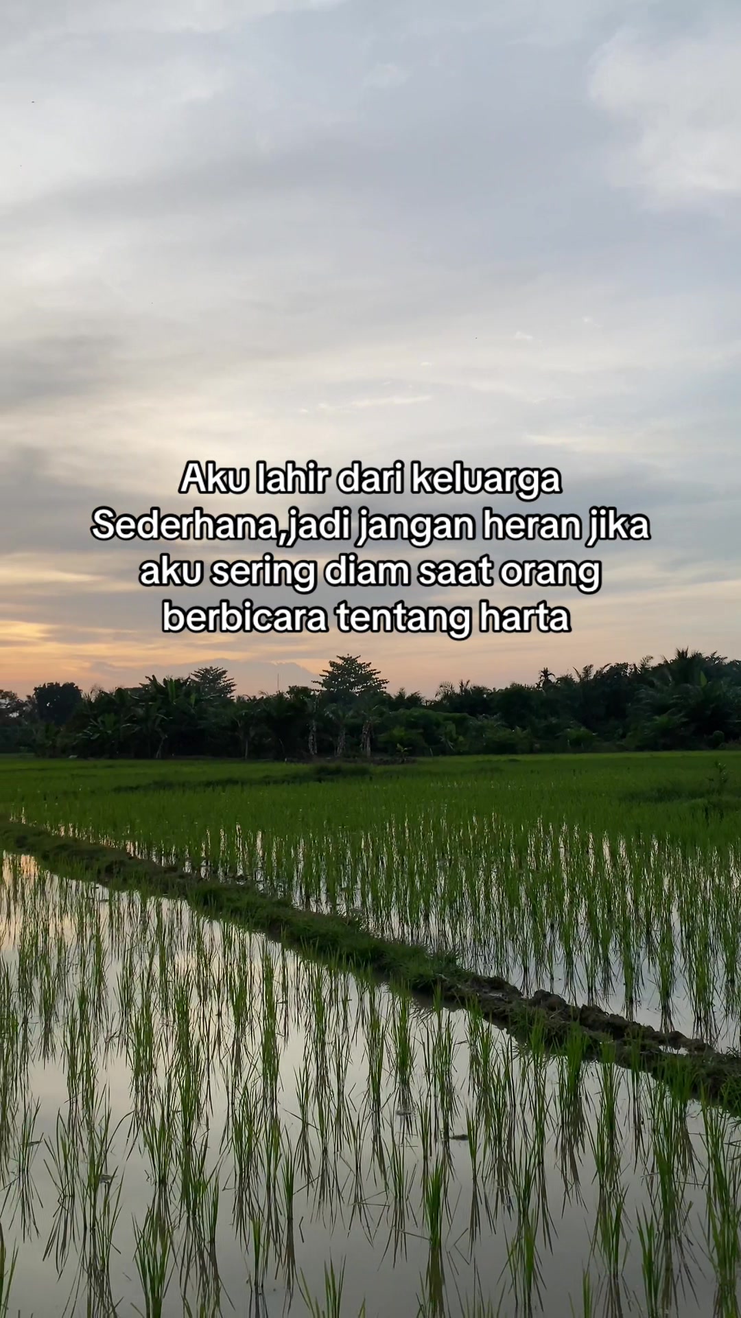 @perintis. muda