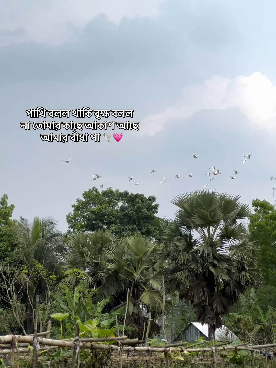 @ز