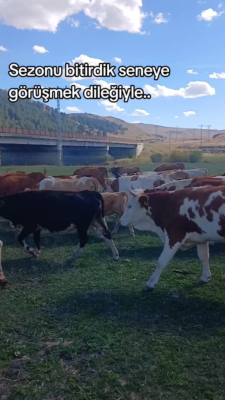 @Gökhan Çoban
