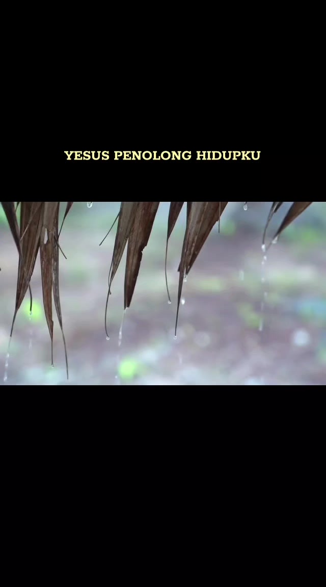 @Bulir Padi