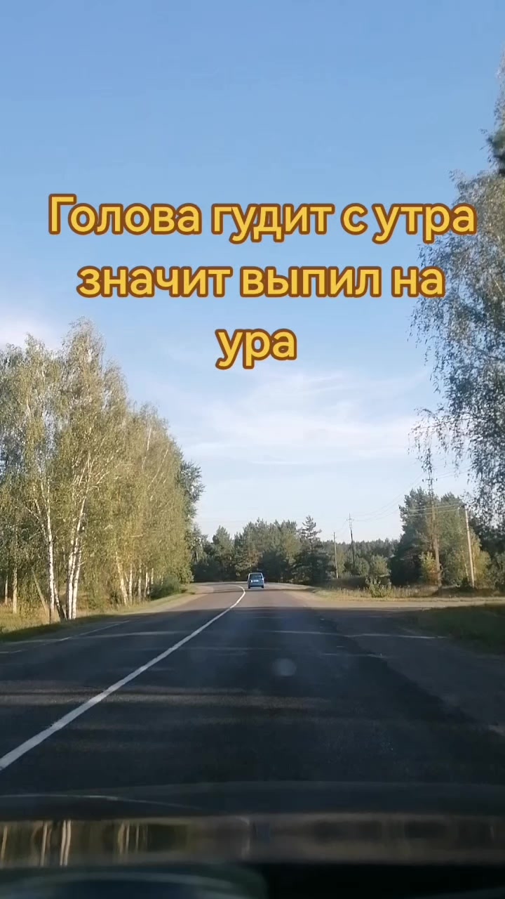 @seregabos