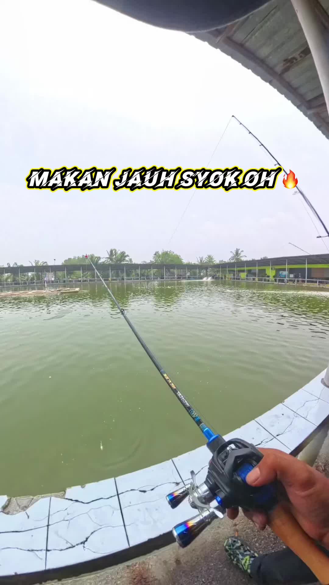 @M Z Reel 🎣
