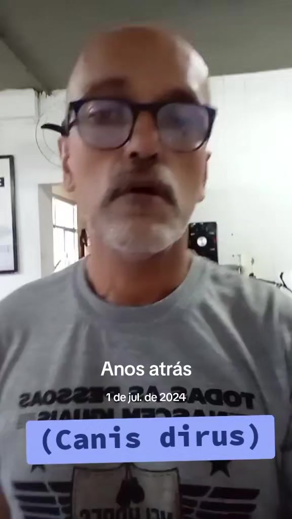 @Afonso Henrique