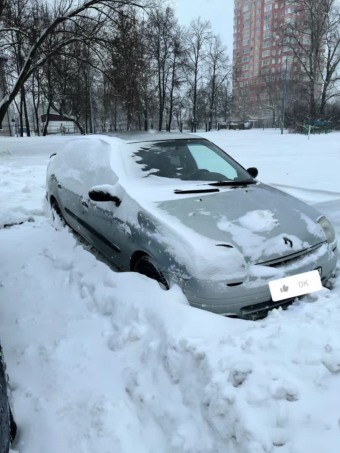 @Мария Бирюкова