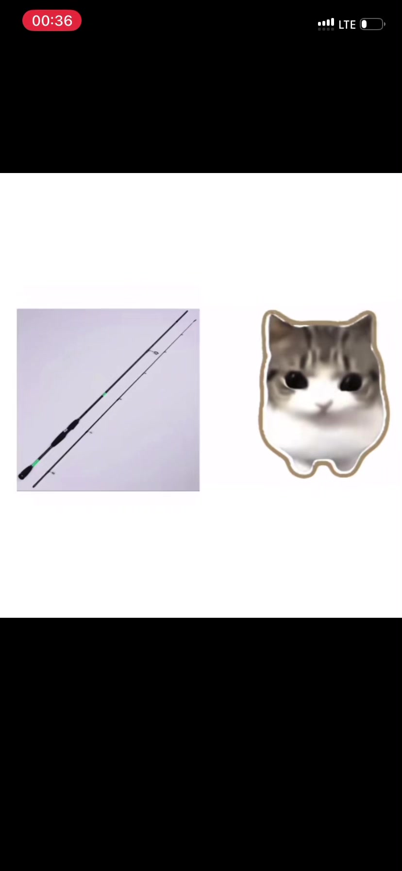 @Котік на г2