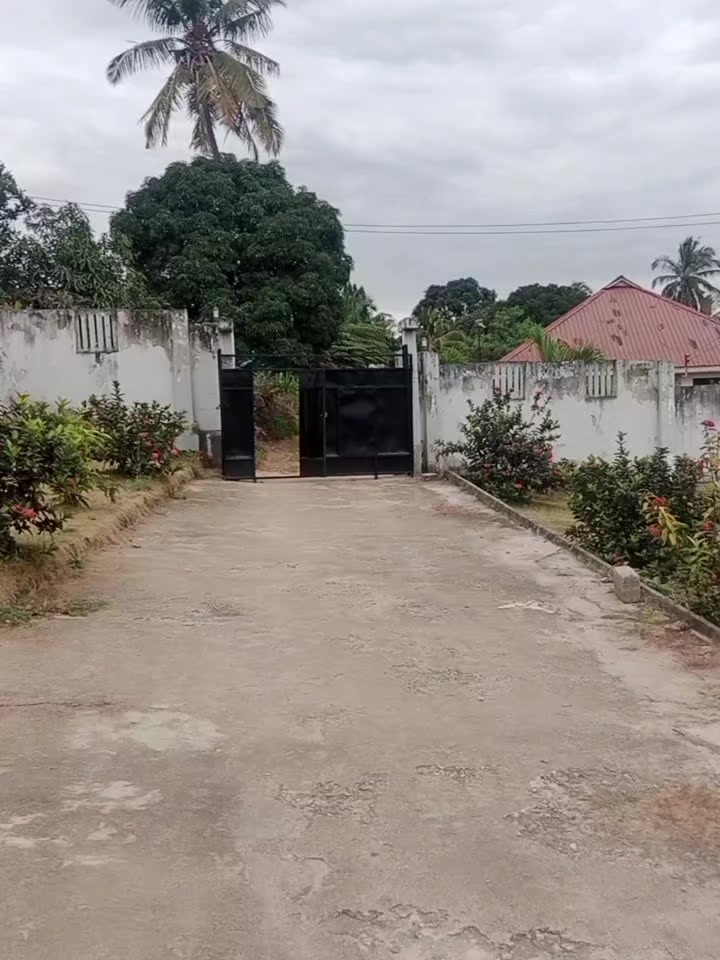 @dalali msomi pugu chanika