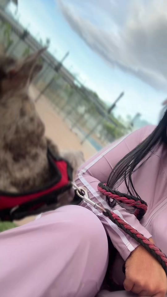 @Yosmer